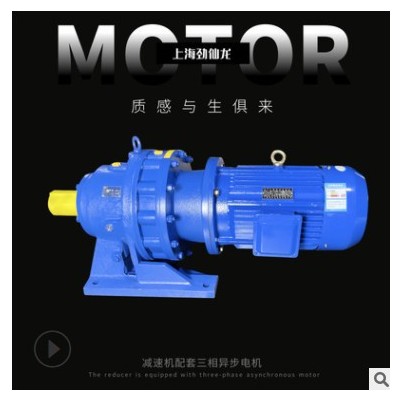 分体直联摆线针轮减速机配套三相异步电动机大扭矩可定制加工生产