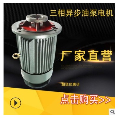 生产销售三相异步油泵内插电动机3kW到15kW支持其他型号定制加工图2