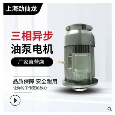 生产销售三相异步油泵内插电动机3kW到15kW支持其他型号定制加工图3