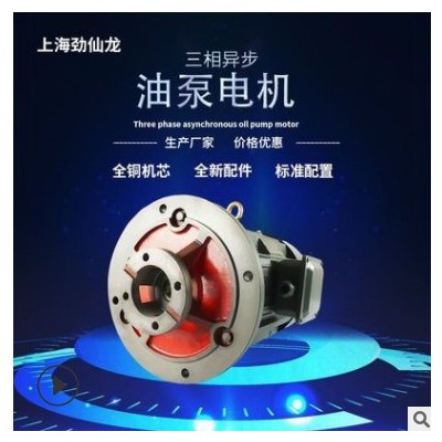 生产销售三相异步油泵内插电动机3kW到15kW支持其他型号定制加工