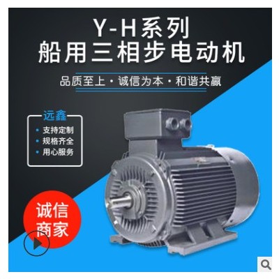 Y-H系列船用三相步电动机 厂家定制船用电机 船用三相异步电动机图2
