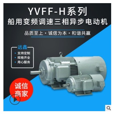 YVFF-H系列 船用变频调速三相异步电动机 厂家直供 船用电机定制图2
