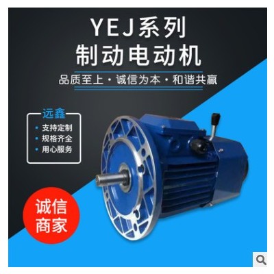 厂家直供 YEJ系列 制动电动机 支持定制 船用电机 厂家定制图2