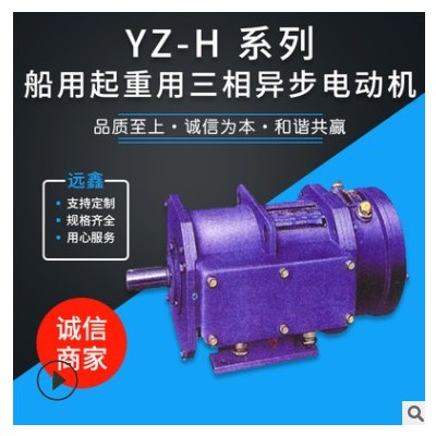 厂家直供 船用起重电机 三相异步电动机可定制 YZ-H系列船用电机图3