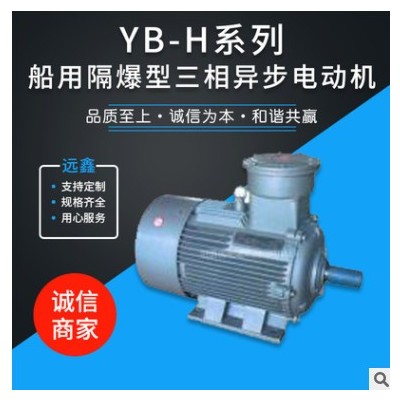 YB3-H系列 船用防爆三相异步电动机厂家直供图3