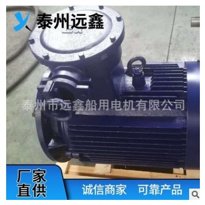 YB2系列 船用防爆隔爆电机 三相异步电动机EXdeⅡBT5 厂家直供图2