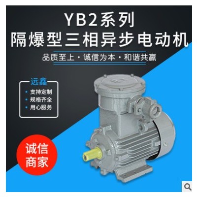 YB2系列 船用防爆隔爆电机 三相异步电动机EXdeⅡBT5 厂家直供图3
