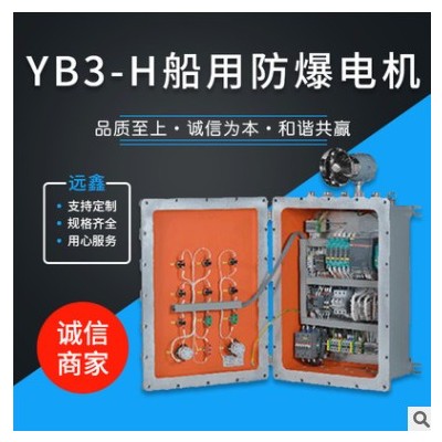 YB3-H船用防爆仪表箱 防爆控制箱 船用配电箱 变频控制箱（ATEX）图3
