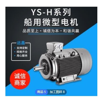 YS-H系列 船用微型电机 厂家直供 支持定制 船用电机 厂家定制