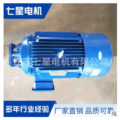 YH-200L-22KW-6油泵电机图2