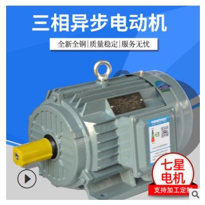 YH-200L-22KW-6油泵电机图3