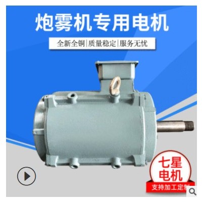厂家销售【炮雾机专用电机】 电动机炮雾机专用图3
