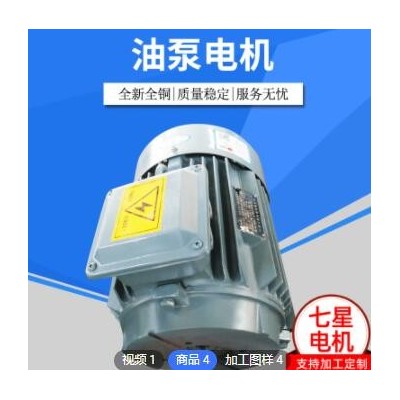 厂家直销 TD系列油压专用 油泵电机 卧式图3