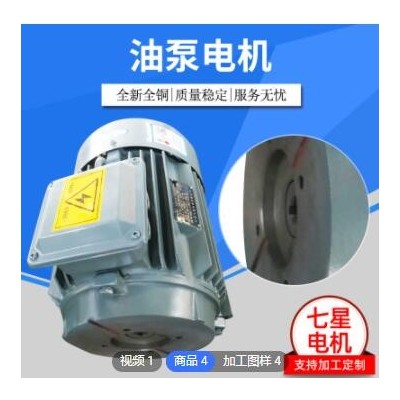 厂家直销 TD系列油压专用 油泵电机 卧式图2