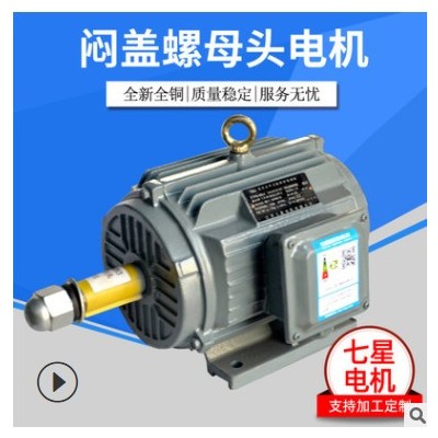 厂家直销全新全铜闷盖螺母头电机 静音转轴电机马达闷盖螺母头图3