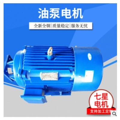 厂家直销 TD系列油压专用 11kw-6p 油泵电机 卧式图3