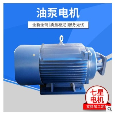 厂家直销 TD系列油压专用 11kw-6p 油泵电机 卧式图2
