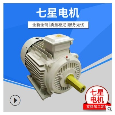 江苏七星厂家销售高温注油嘴印染设备烘箱设备高温环境电机图2
