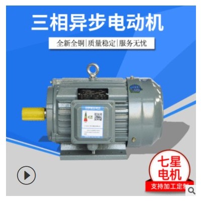 【三相异步电动机】大功率高效交流三相异步电动3KW-4级图2