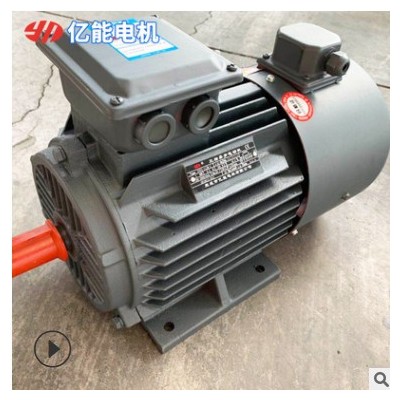 YVF2系列配调速器齿轮减速电机 250M-4 55KW三相异步电动机图2