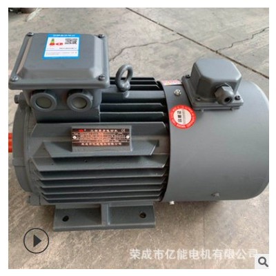 三相异步电动机厂家供应YVF2-250M-4 55KW电动机380V变频调速电机图2