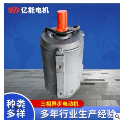 YT系列 4KW马达国标全铜线电机 0.55-2.2KW卧式三相异步电动机图3