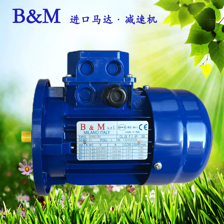 B&M电机-001