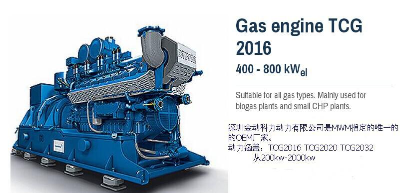 mwm TCG2016 曼海姆燃气发电机