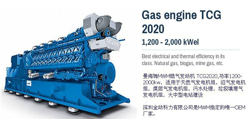 TCG2020 MWM 燃气发动机组
