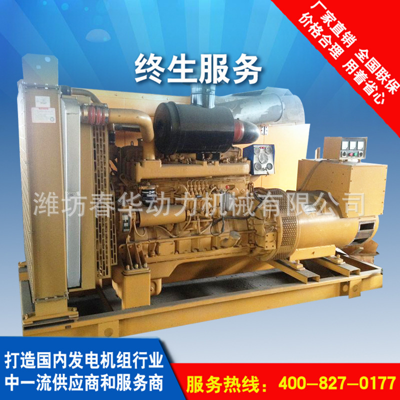 300KW上柴系列柴油发电机组