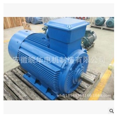 实体厂家纯铜线三相异步电动机YE3-180M-2-22KW三相电机铜芯线图2