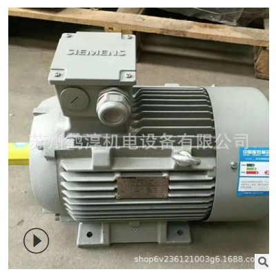 西门子电机 160KW 4P B3 4极 1LE0001-3AB53-3AA4三相异步电动机图2