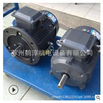 TECO无锡东元青岛东元V系列AEEVJ3-AEEV1H-5.5KW-4三相异步电动机图2