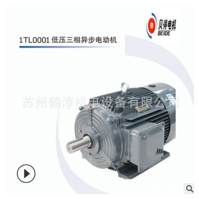 贝得电机 11KW 4P B3 4极 卧式安装 1TL0001-1DB23-3AA5-Z W08图3