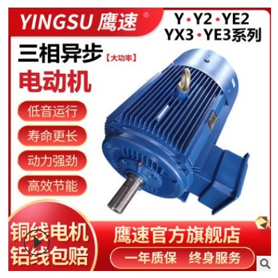 厂家直供马达三相异步电动机Y2-315L2-6极132kw 交流电380V/YE2图3
