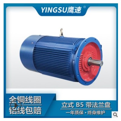 厂家直供马达三相异步电动机Y2-315L2-6极132kw 交流电380V/YE2图1