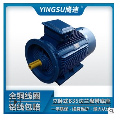厂家直供马达三相异步电动机Y2-315L2-6极132kw 交流电380V/YE2图2