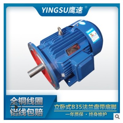 厂家直供Y180L-6极15kw千瓦三相异步电动机 马达全铜B35/YE2图2