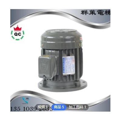 立式液压马达 广东群策电机跨境定制立式液压马达全铜线2HP压铸机图2