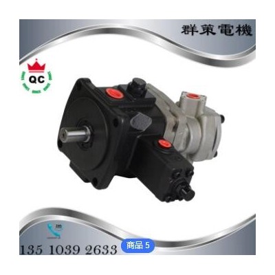 液压油泵电机 0.25~15KW台湾款内插式 厂家出售内插式液压油泵