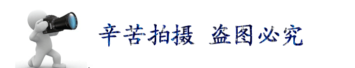 产品展示