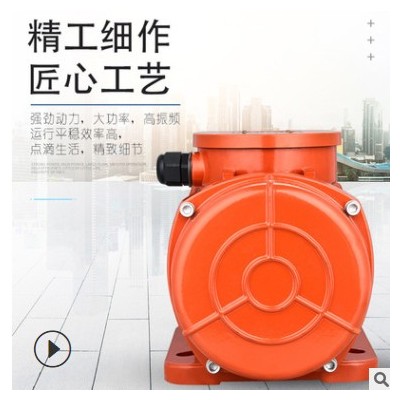 厂家直供三相6极 1000转振动筛振动电机振动器 MV50/100/1批发图1