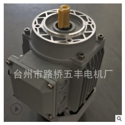 厂家直供三相电机三相异步电动机马达Y2-7134 0.55kW铝壳电机图3