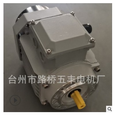 厂家供应.三相电机三相异步电动机马达铝壳电机可加工定制批发图2