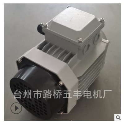 厂家直供Y2-8024铝壳电机三相电机三相铝壳电机0.75KW可定制