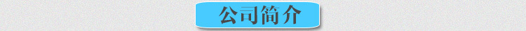公司简介