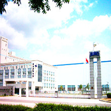 YKK_副本
