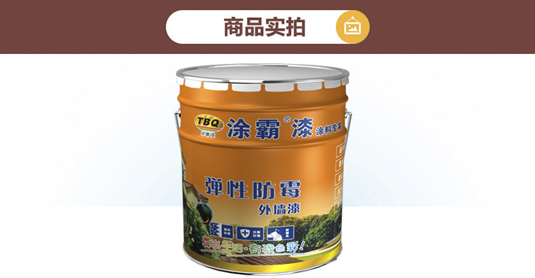 外墙涂料 室外涂料 乳胶漆 涂料 油漆
