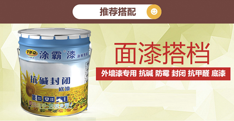 外墙涂料 室外涂料 乳胶漆 涂料 油漆