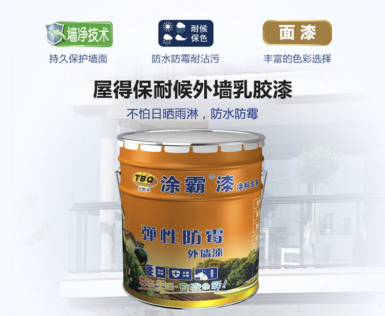 外墙涂料 室外涂料 乳胶漆 涂料 油漆